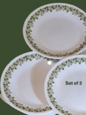 2 Crazy Daisy Corelle Dinner Plates